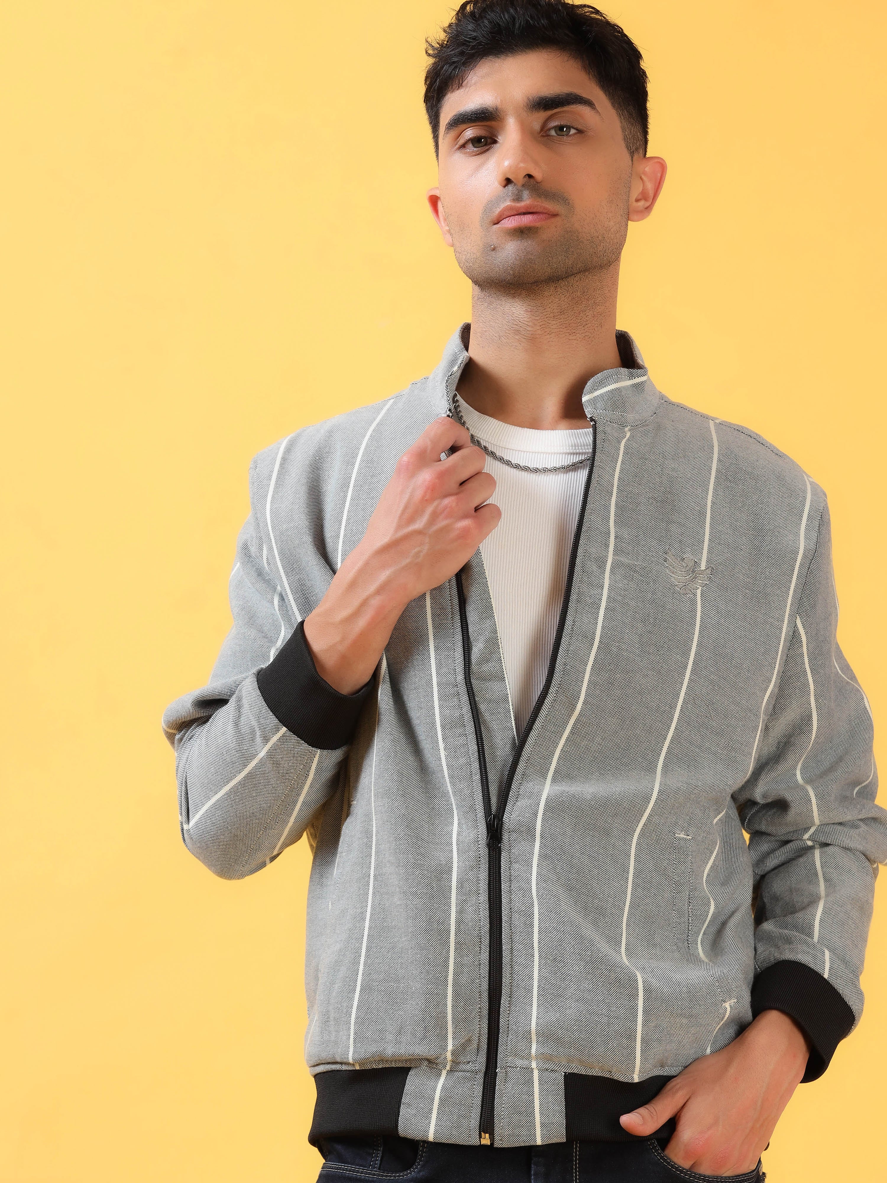 Subtly Striking Grey Striped Bomber