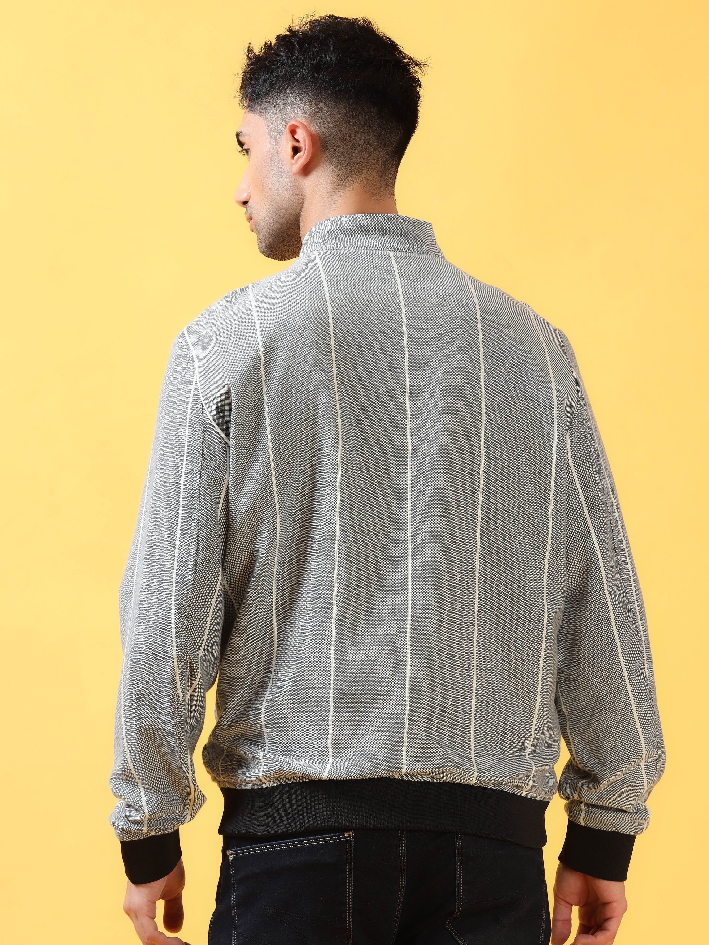 Subtly Striking Grey Striped Bomber